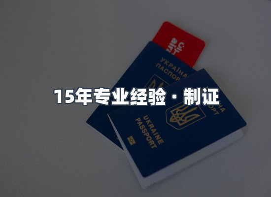 证件页面制证展示